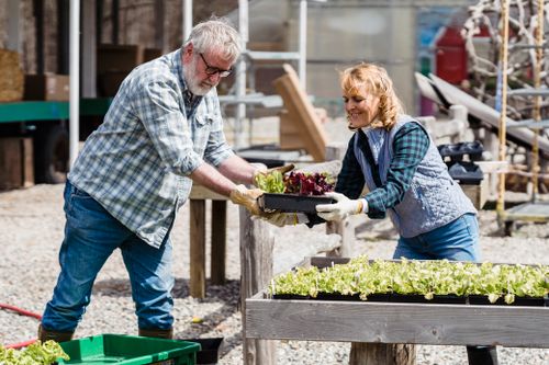Free Senior couple engaging in gardening, sharing plants and enjoying the outdoors. Stock Photo