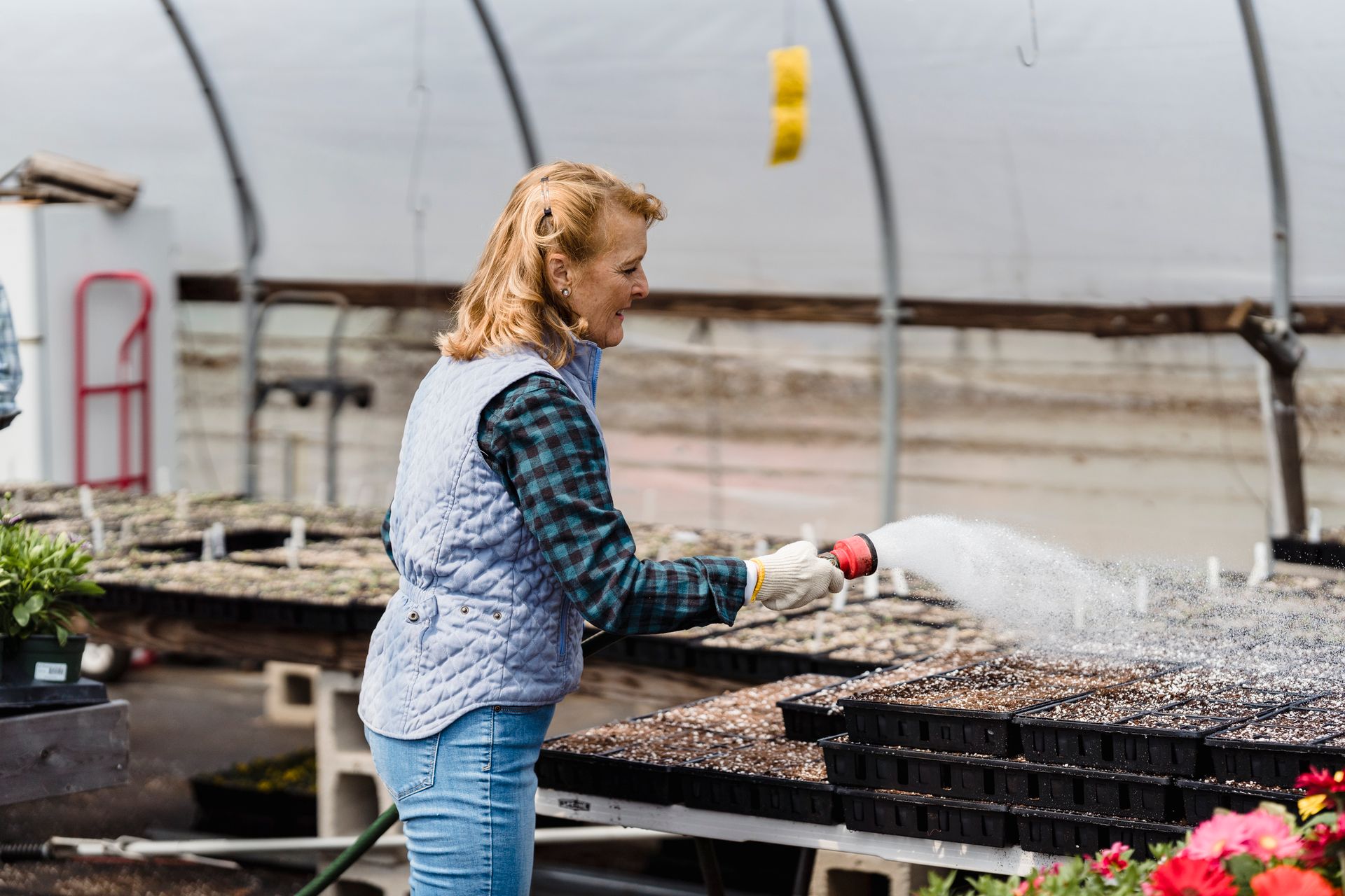 Elderly Woman Watering the Plants