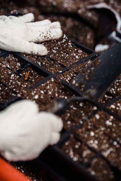 Close-Up Shot of a Person Gardening