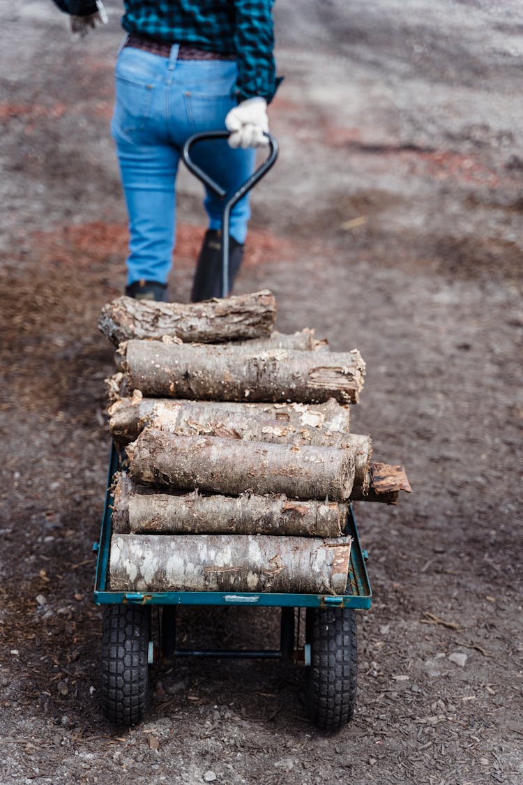 Back View Of Person Pulling A Cart Of Wood Logs