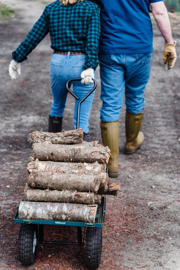 Back View Of Two People Pulling A Cart With Wood Logs