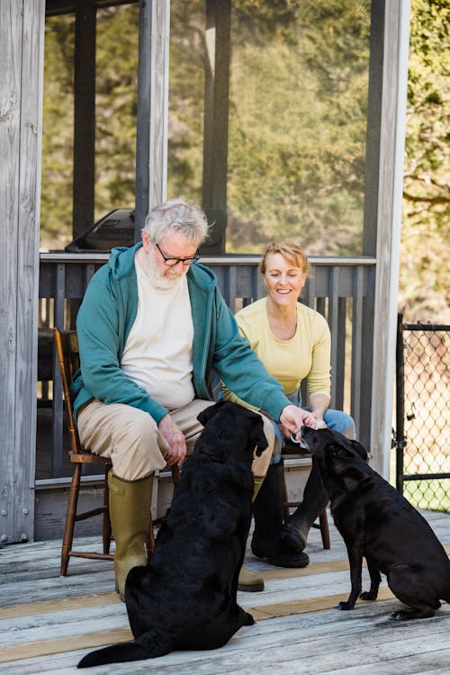 Elderly Couple Looking at Their Dogs