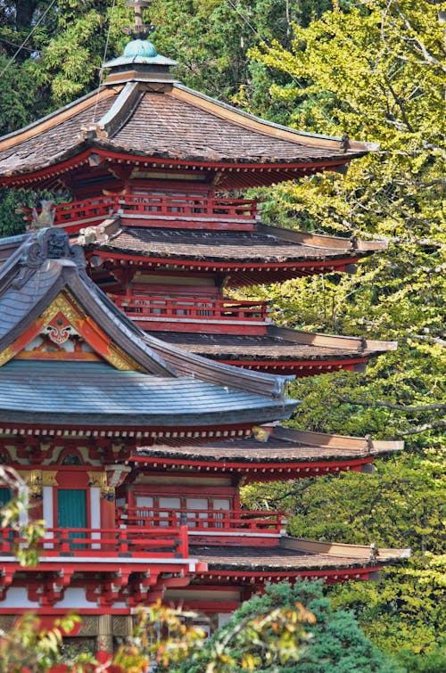 無料 昼間の緑の葉の木の後ろの赤と青の寺院 写真素材