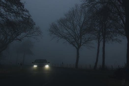 Car with headlights on surrounded by dense fog and silhouetted trees, creating a moody atmosphere.