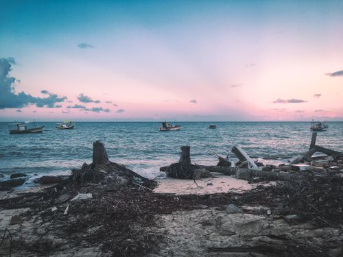 Free stock photo of boats, fallen tree, fisherman Stock Photo