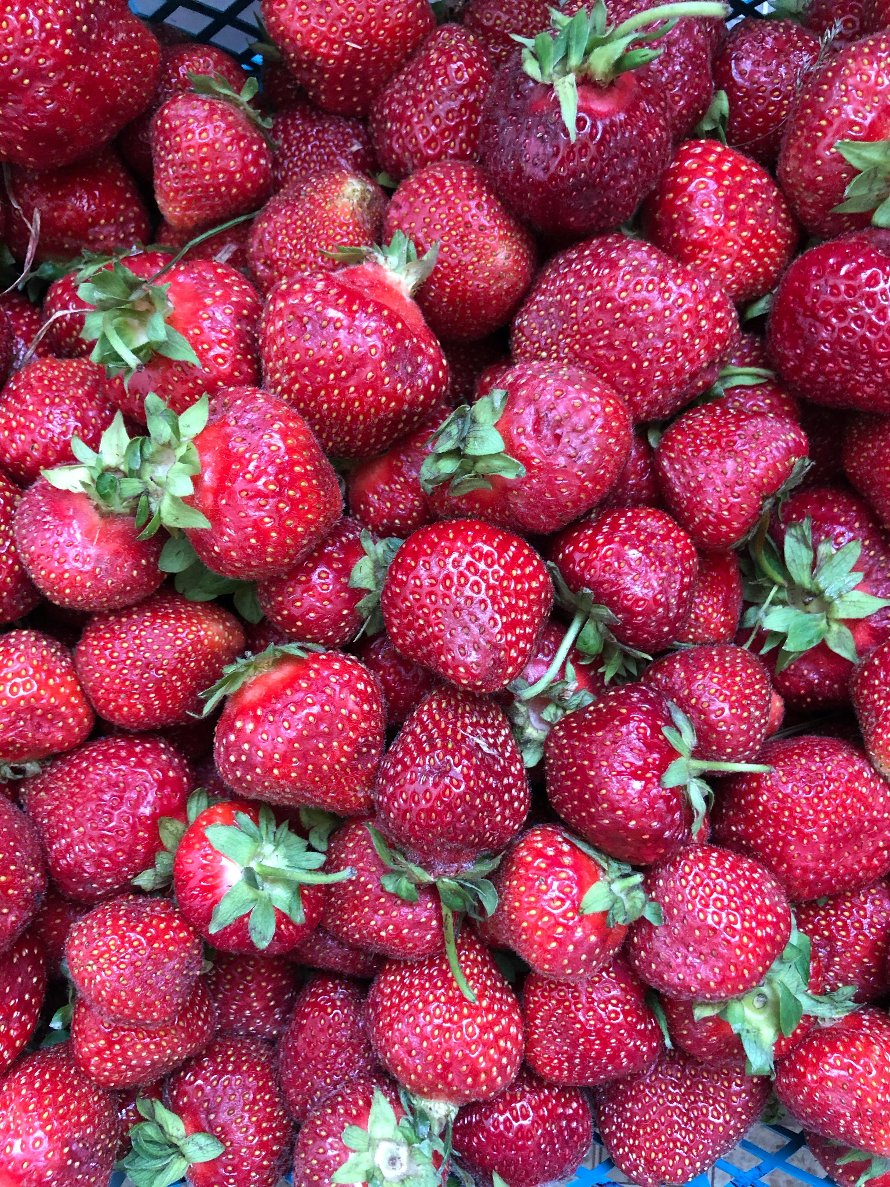 Jars of kimchi and pickled vegetables on a wooden board