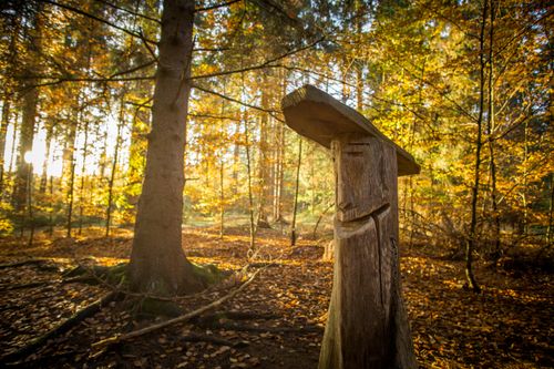 Free Sunlit autumn forest scene with intricate wooden sculpture among fallen leaves. Stock Photo