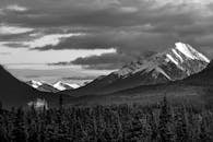 加拿大耶洛黑德县的雪山呈现出令人惊叹的黑白风景