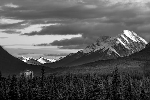 加拿大耶洛黑德县的雪山呈现出令人惊叹的黑白风景