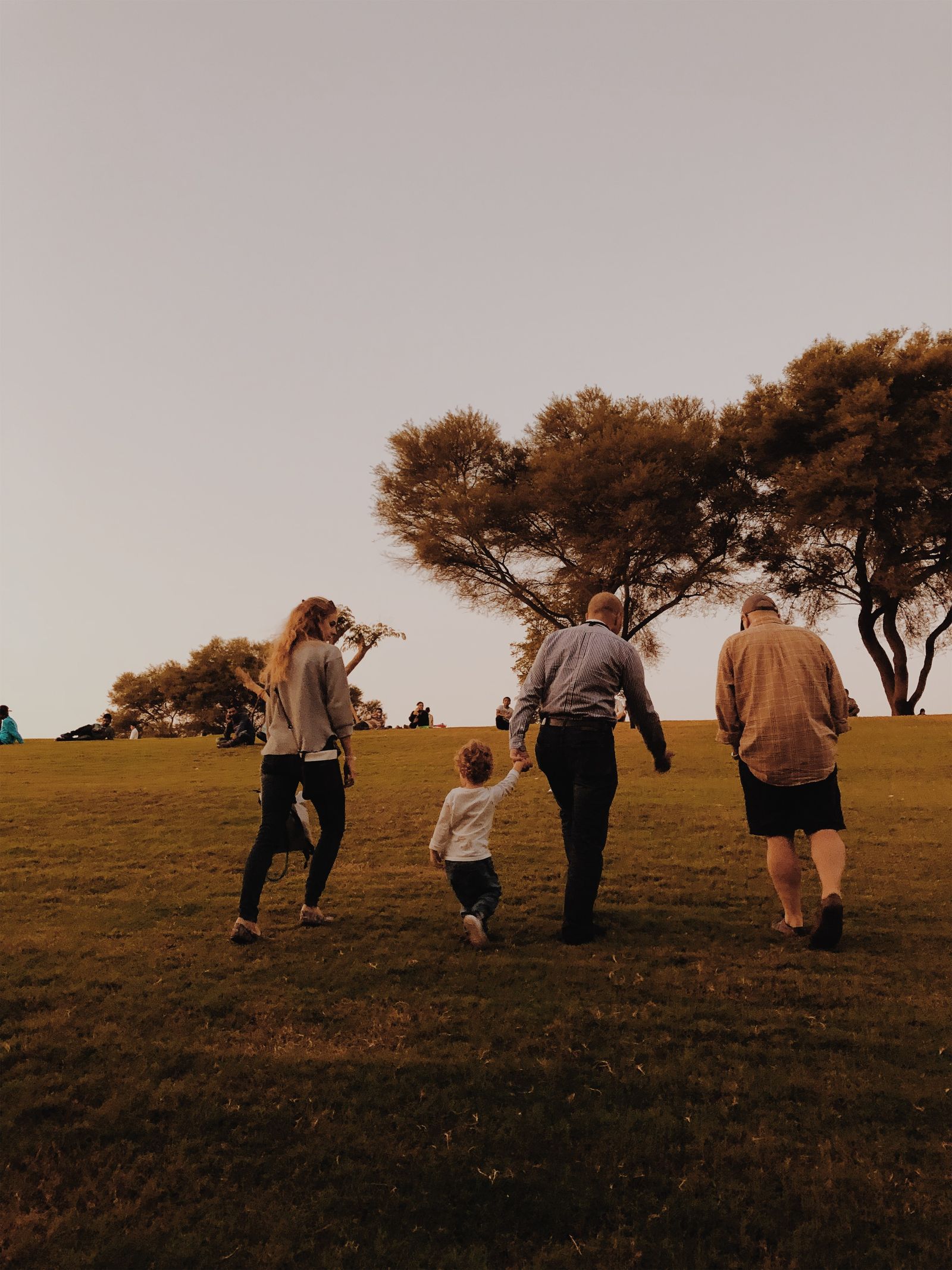 A family walking away across a grassy park towards the trees at dusk