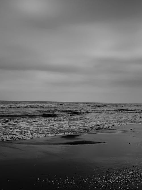 Photos gratuites de côte, échelle des gris, noir et blanc