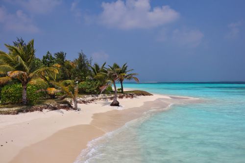 Free Discover the serene beauty of a tropical beach with coconut trees and turquoise waters in the Maldives. Stock Photo