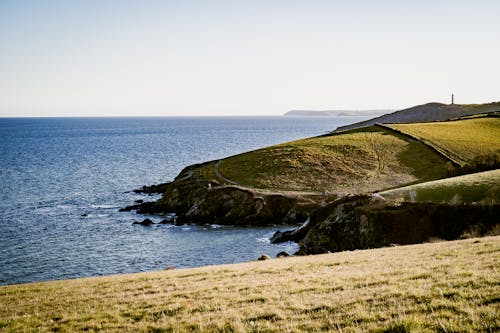 Grassland Near Body of Water