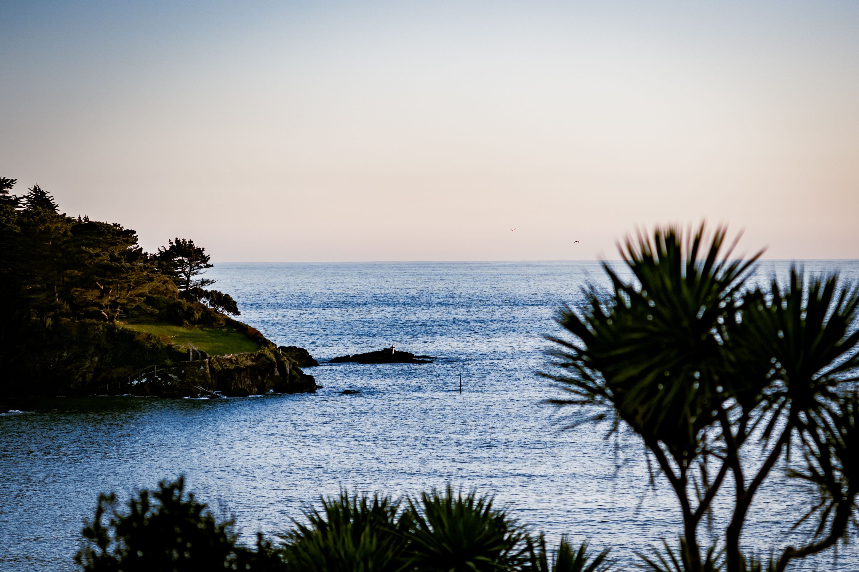 Tranquil ocean view with palm trees and a cliff at sunset, perfect for nature lovers.