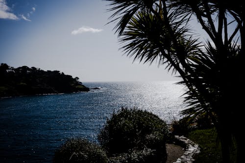 Ocean View Under the Blue Sky