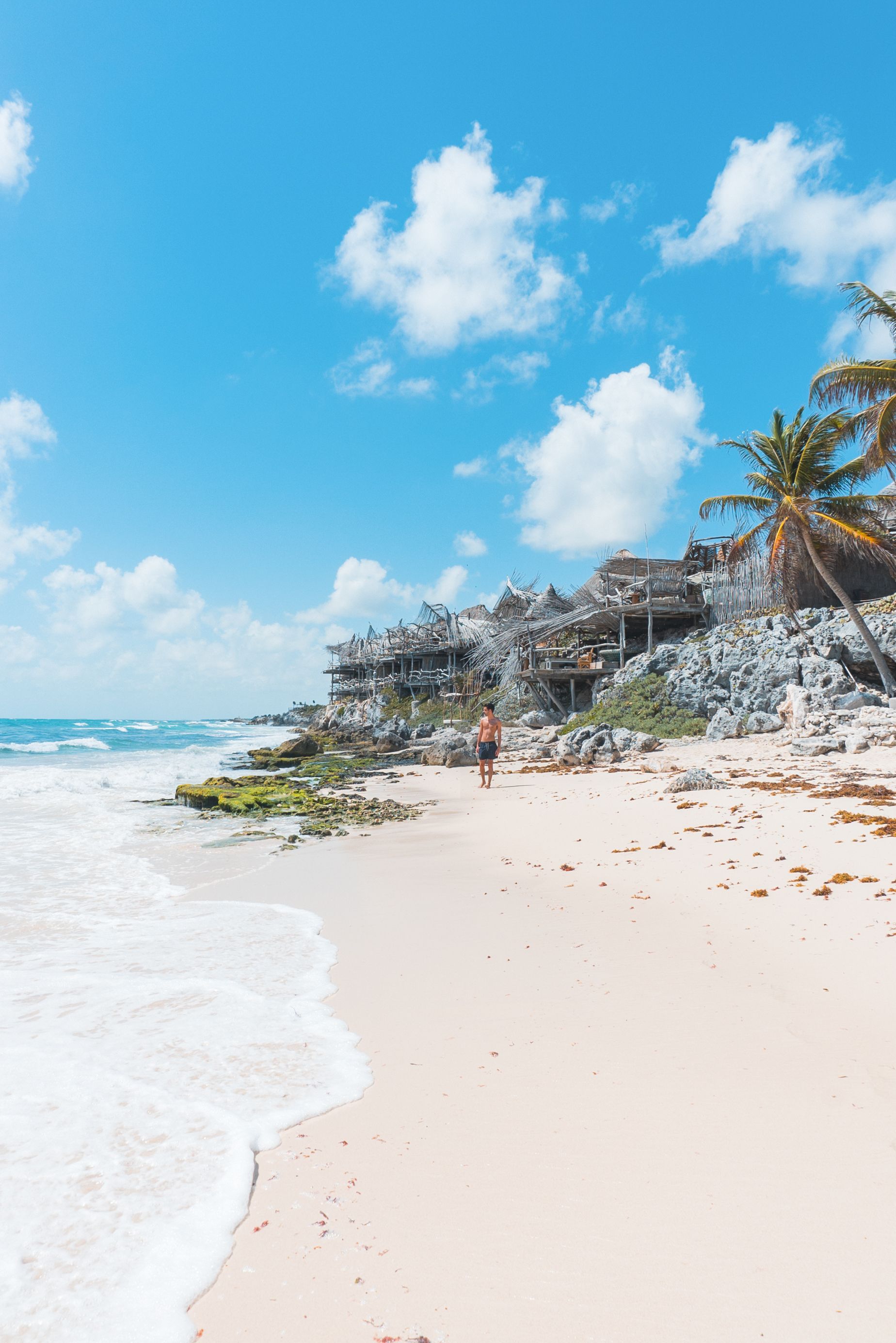 White sand and palm trees in Quintana Roo, the feel of the beach hotels on Holbox