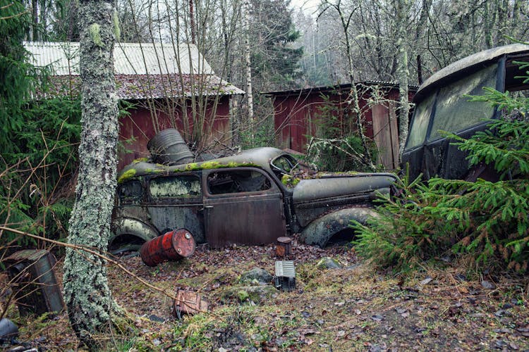 Junked Car In The Yard