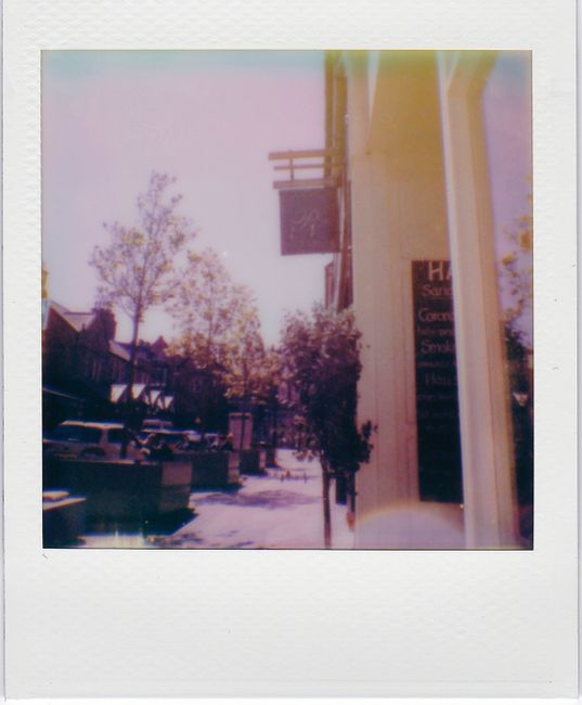 A nostalgic Polaroid photo capturing a vintage street with trees and a warm ambiance.