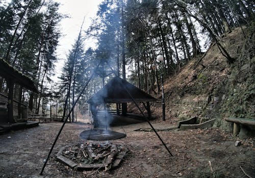 ağaçlar, Barbekü, çardak içeren Ücretsiz stok fotoğraf