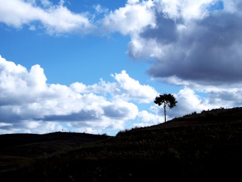 Free stock photo of blue sky, cloud, sky