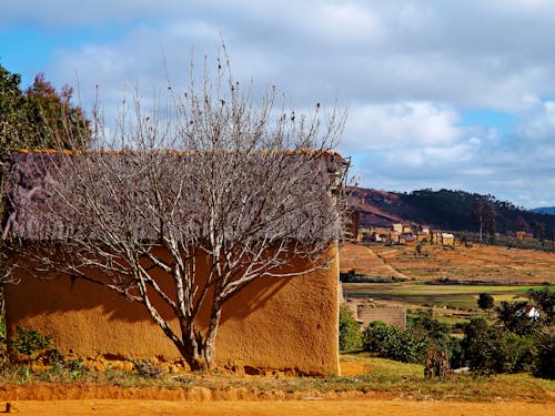 Free stock photo of landscape, madagascar