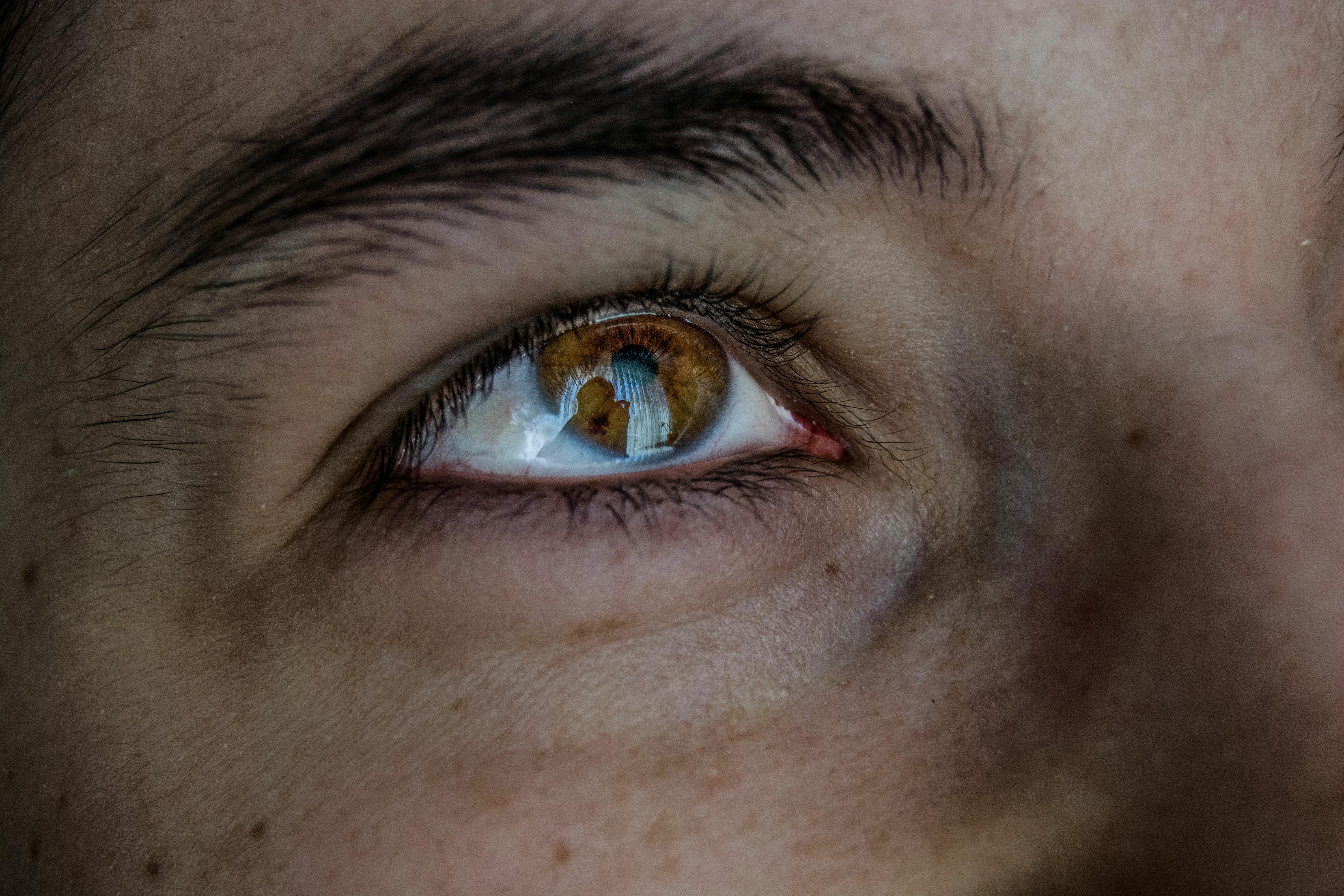 Free stock photo of baeutiful eyes, big eyes, eye