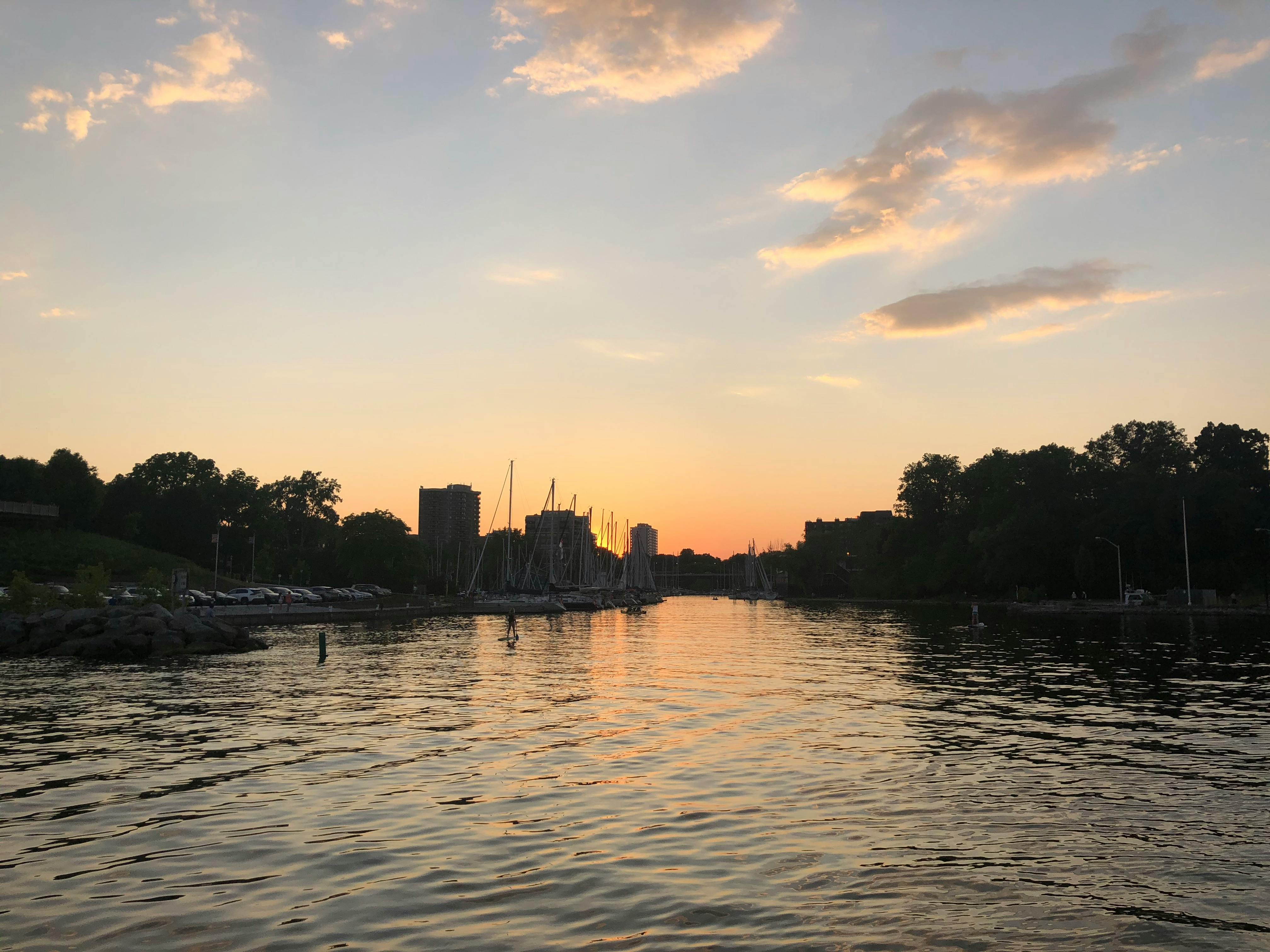 Toasted Coconut Marshmallow