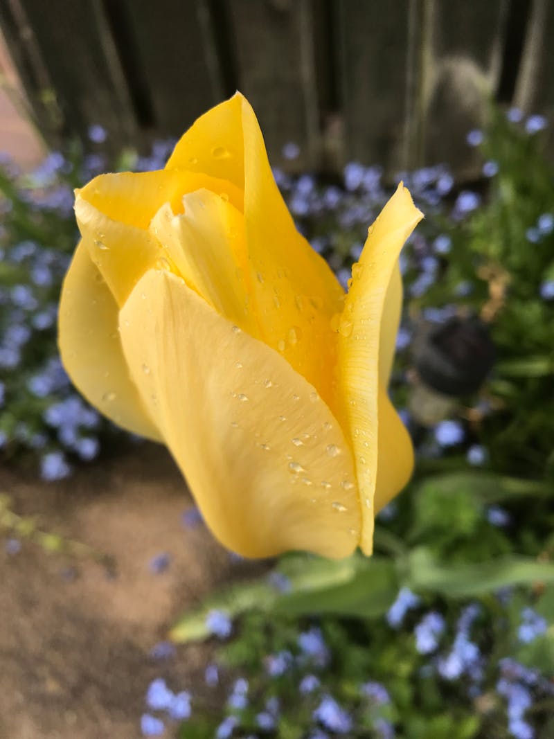 Pessoa analisando documentos fiscais