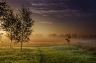 在拉脱维亚伊克西勒郁郁葱葱的田野上，薄雾笼罩着宁静的日出景观