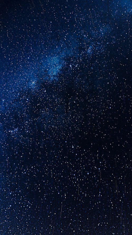 Low Angle Shot of a Starry Sky 