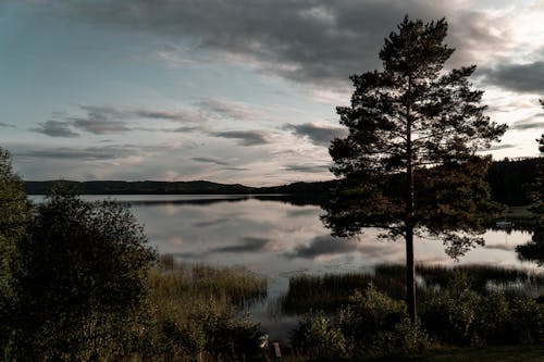 A Calm Lake