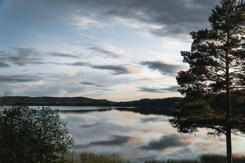 Lake Surrounded With Trees Under Cloudy Sky