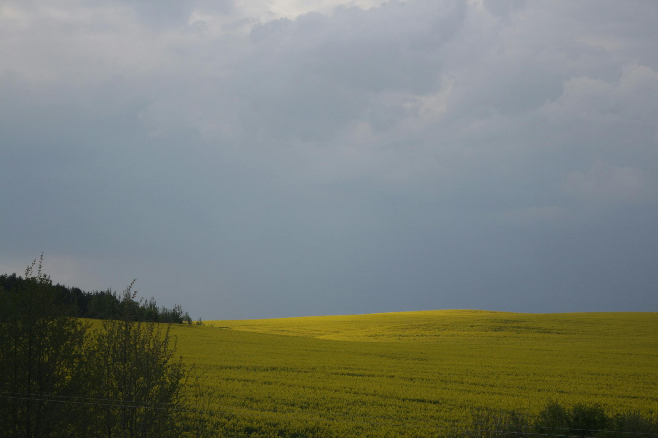 Strato-cumulus Clouds · Free Stock Photo