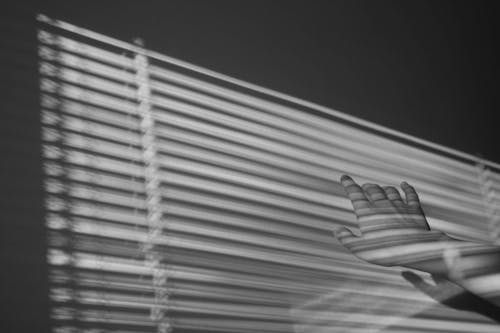 Grayscale Photo of Person Reaching A Window Blinds
