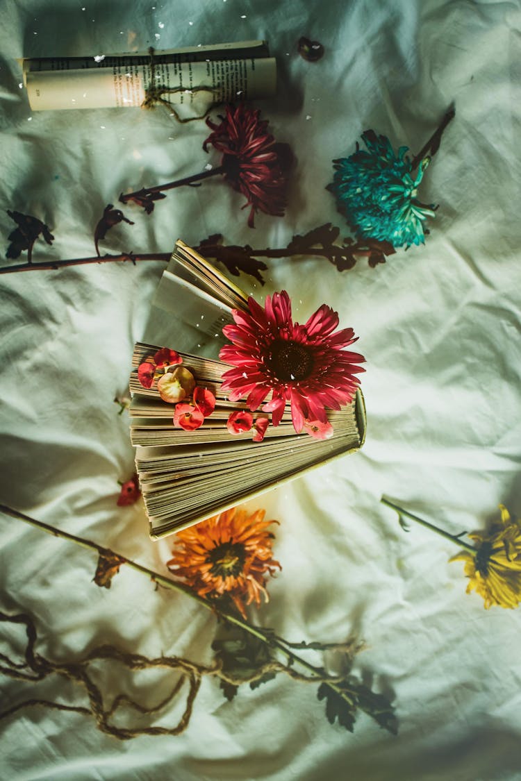 Book With Flowers On Textile