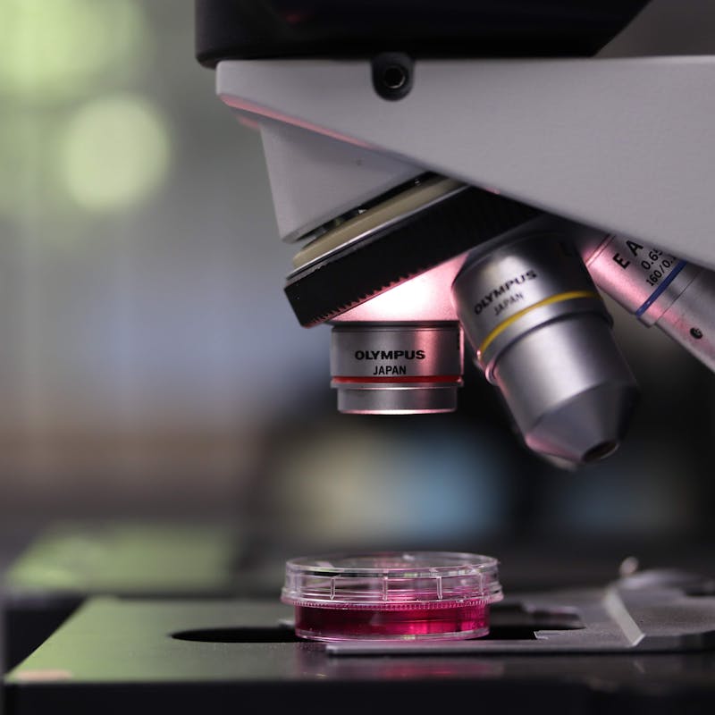 Inside the Laboratories Rewriting Our Relationship With the Natural World