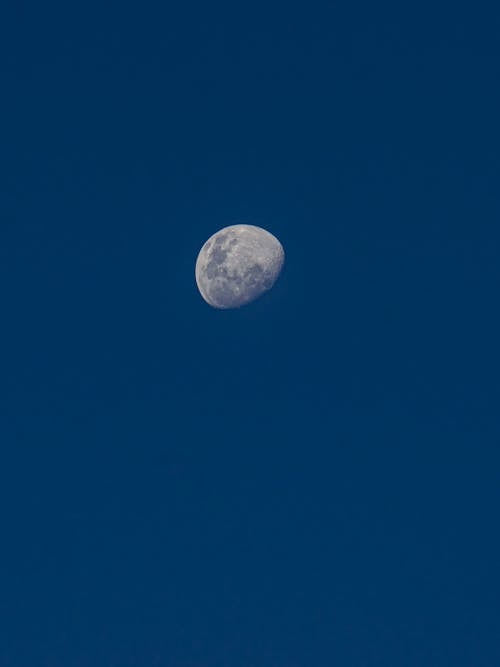 Free stock photo of beautiful sky, clear day, half moon