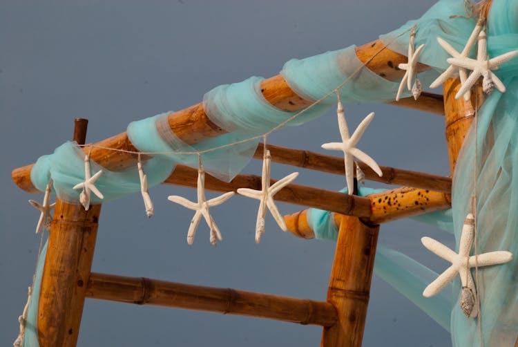 Starfish Hanging