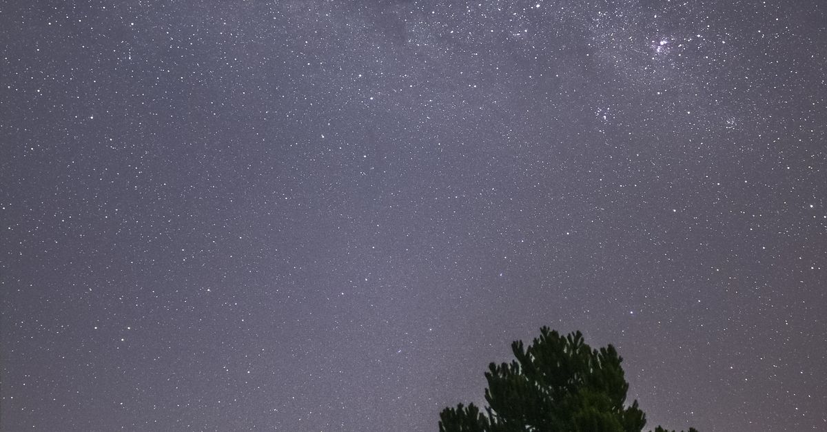 A serene night sky filled with stars over dark tree silhouettes, perfect for celestial-themed projects.