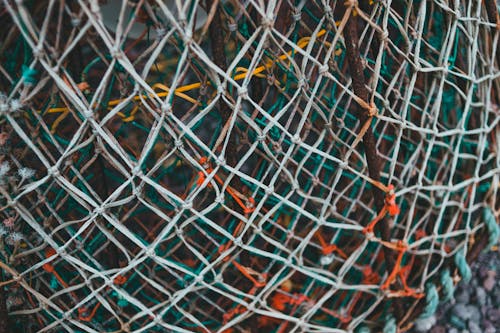 Chain Link Fence with Rusty Steel Bar