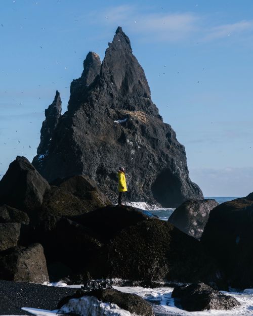 Free Person in a yellow jacket standing on Reynisfjara Beach with basalt rocks in Iceland. Stock Photo