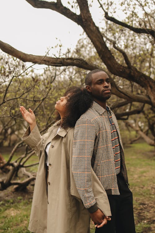 Foto profissional grátis de afro-americano, amor, casal negro