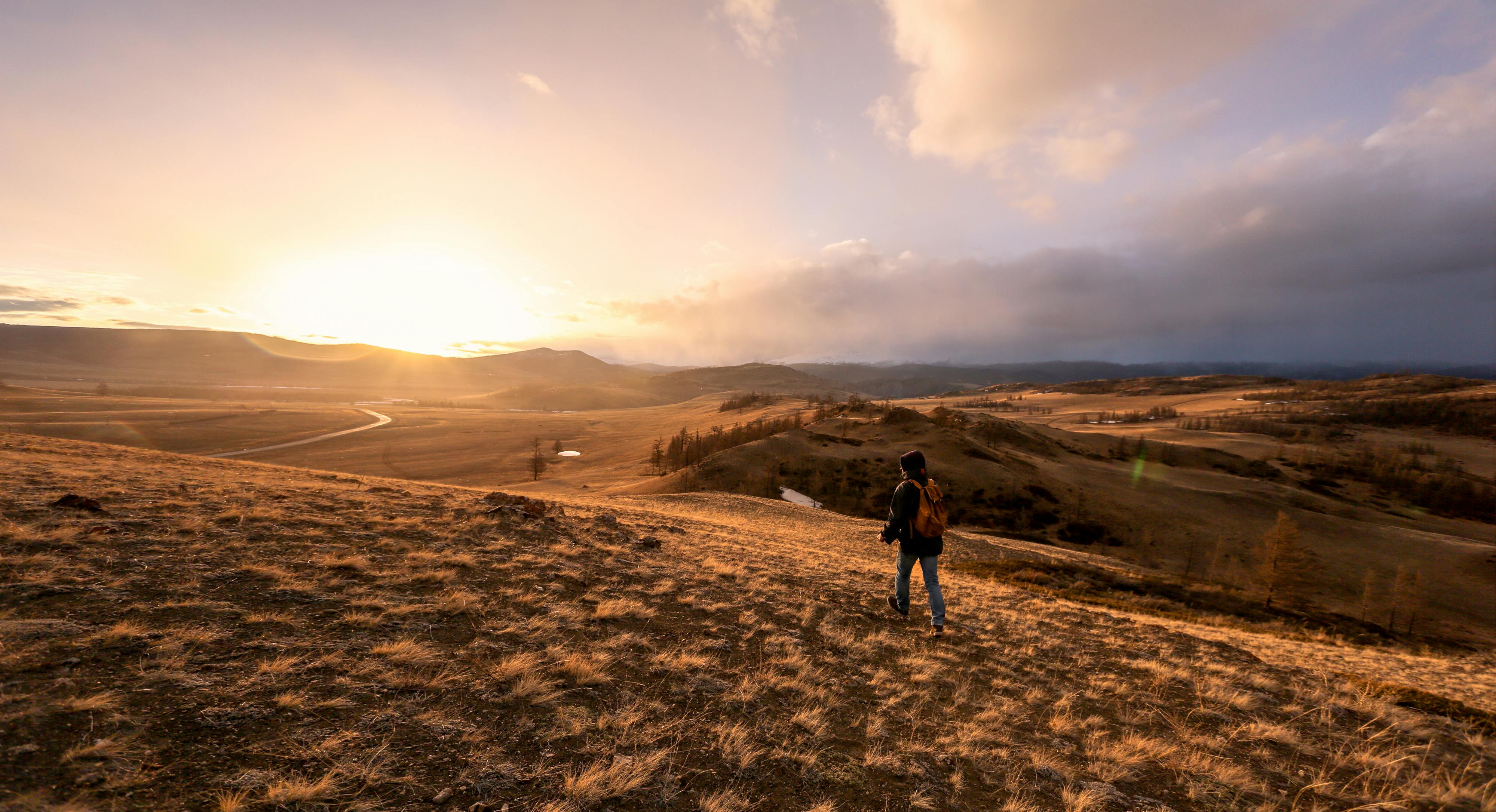 Far Cry New Dawn game guides and walkthrough — Photo by ArtHouse Studio on Pexels