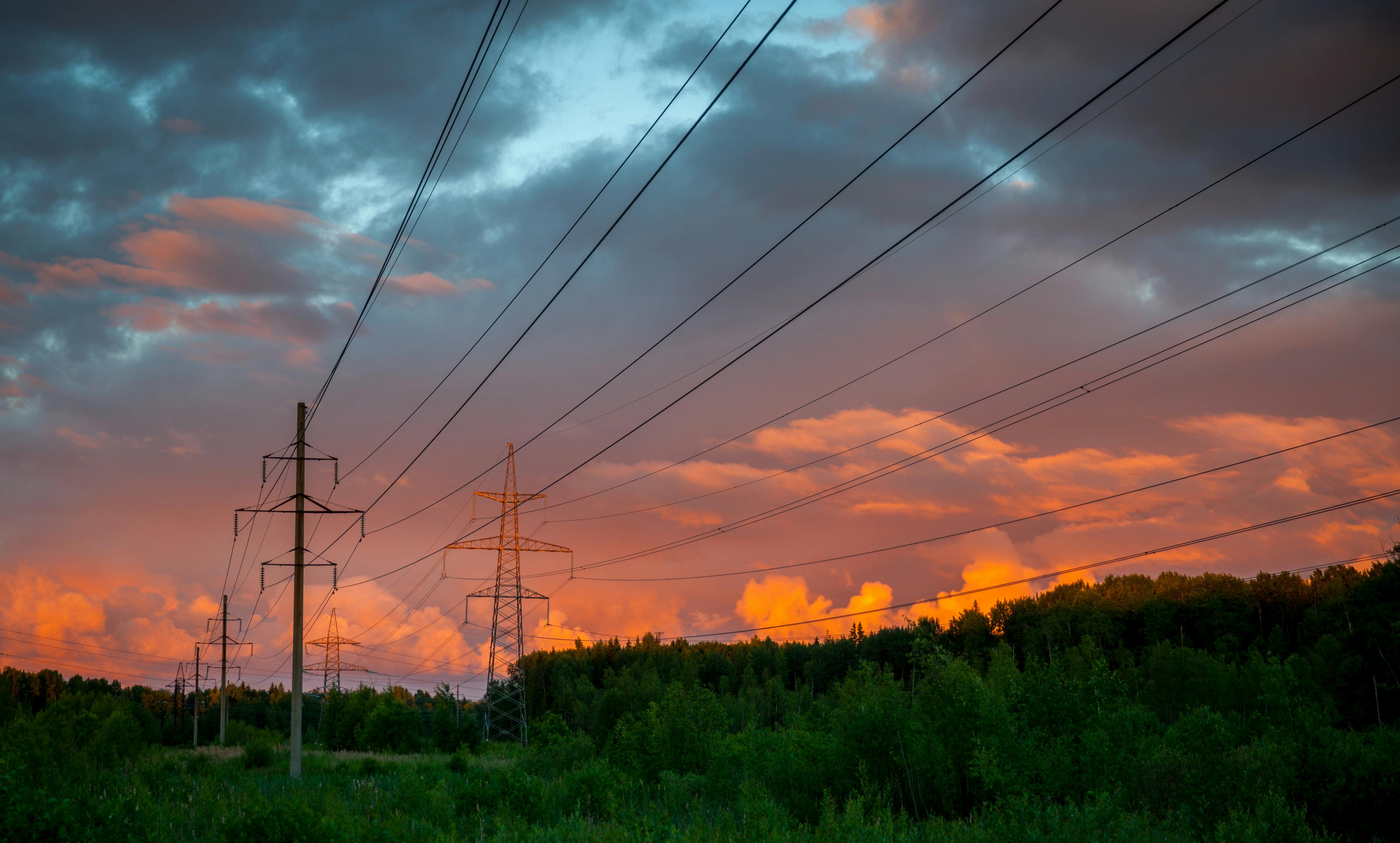 Power Lines Surrounded By Trees · Free Stock Photo