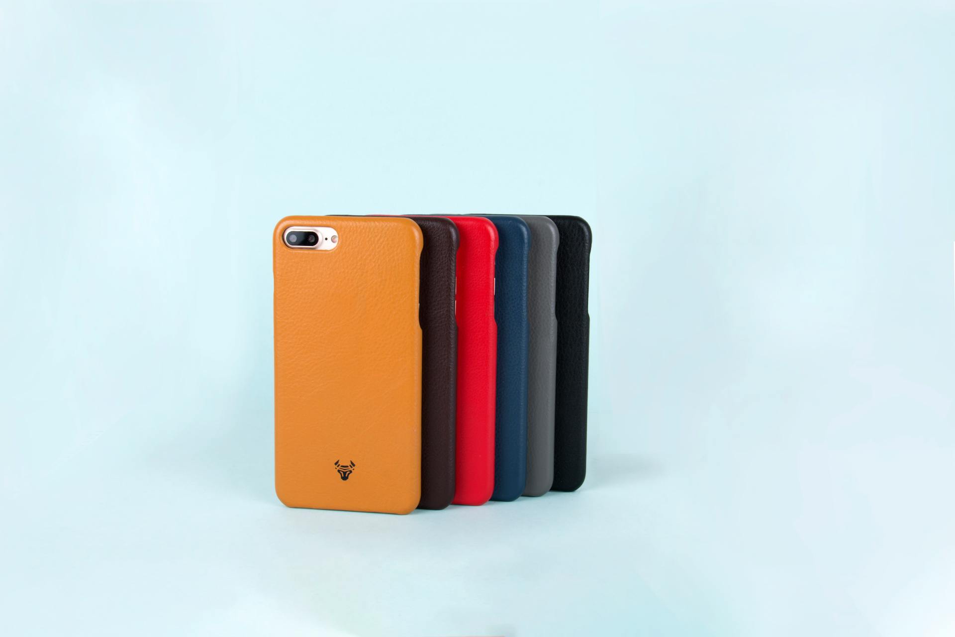 Smartphones with Cases