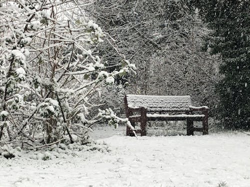 Free stock photo of snowy bench