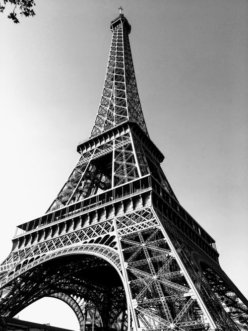 Free Iconic view of the Eiffel Tower in monochrome, showcasing its architectural beauty. Stock Photo
