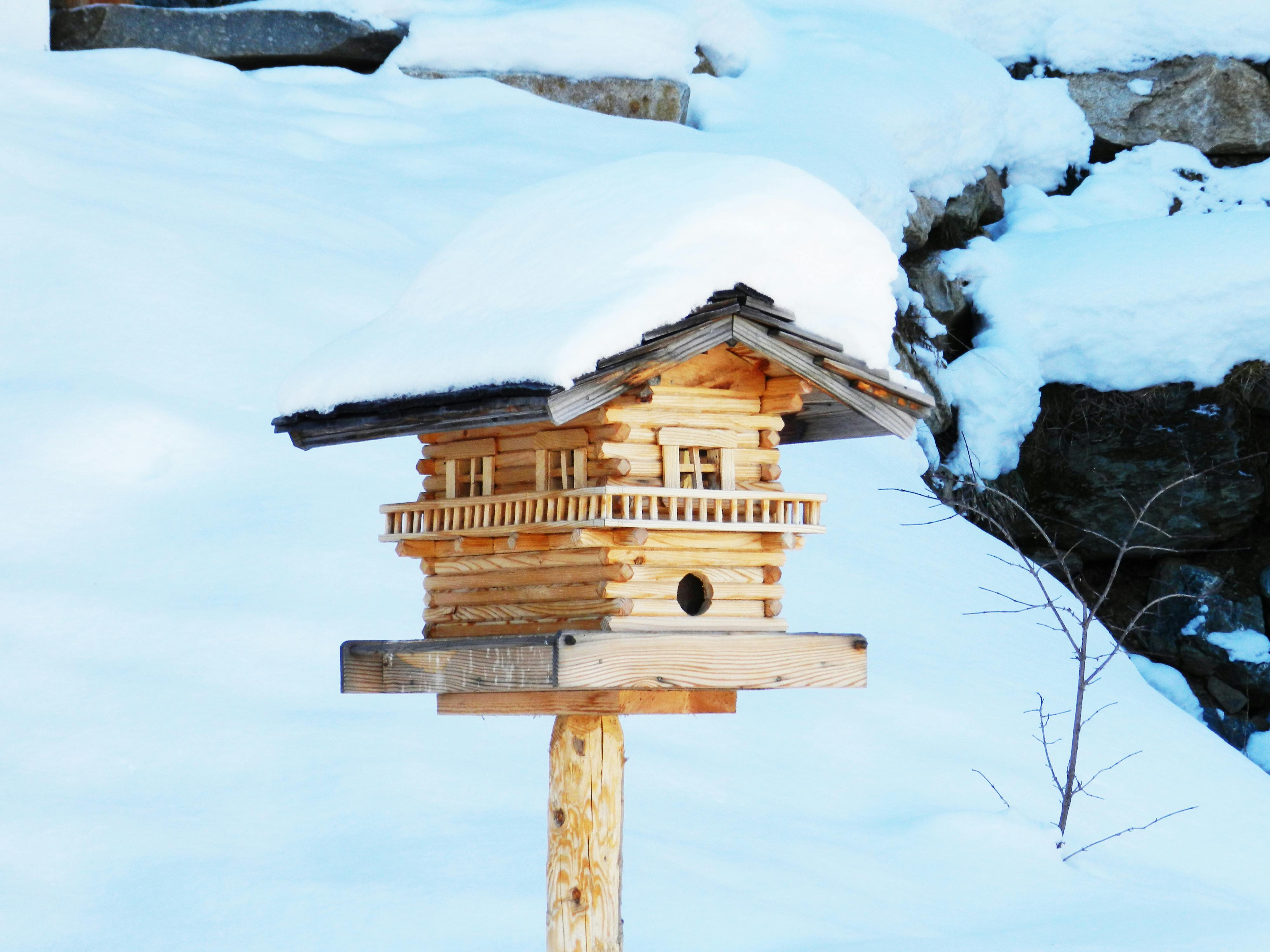 Petite Maison D'oiseaux En Bois Isolée Sur Fond Blanc Banque D'Images et  Photos Libres De Droits. Image 74567264