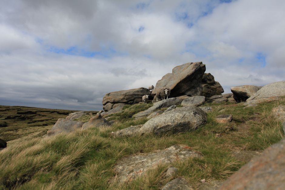 Enhanced Rock Weathering (ERW) in Agriculture