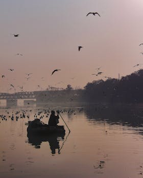 在五颜六色的黎明中，一位独身的渔夫被鸟类和宁静的水包围，捕捉着艺术